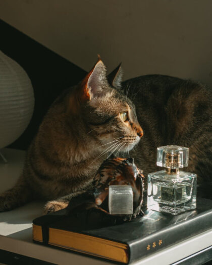 Fragrances