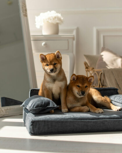 Bedding