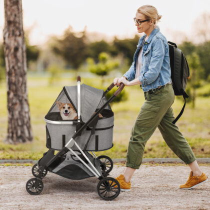 Stroller