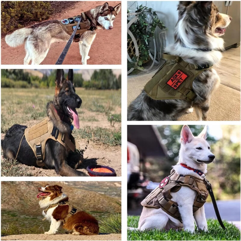 Nylon Camouflage Dog Harness - Image 5