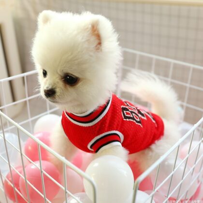 Dog Summer Vest Breathable
