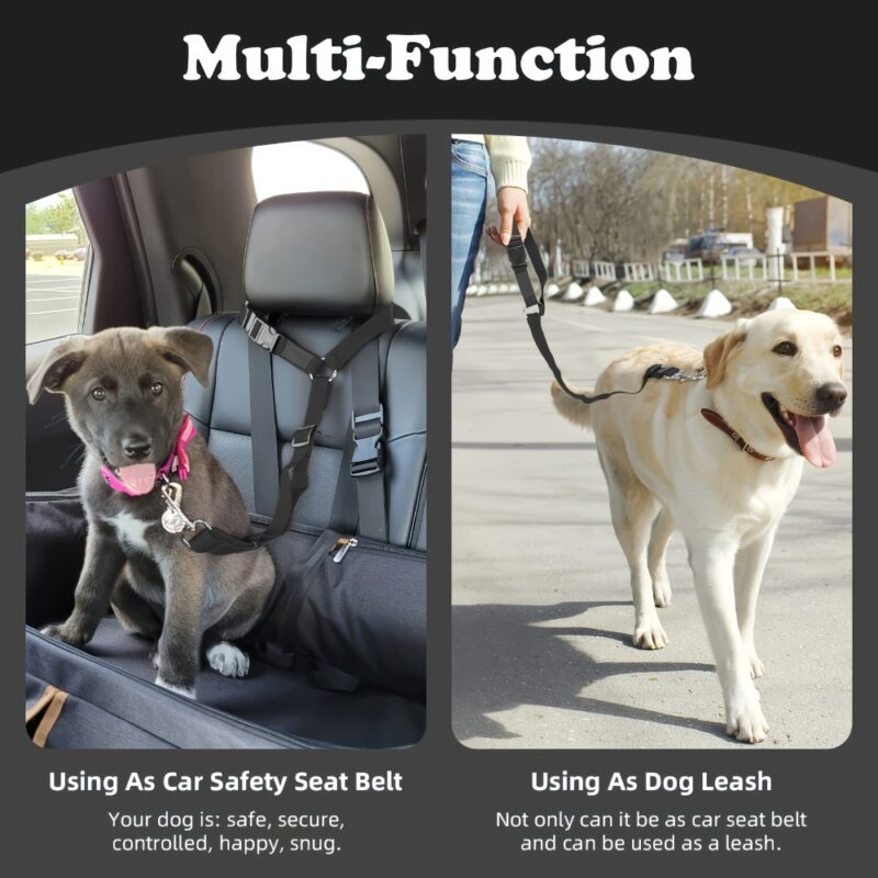 Dog Car Leash - Image 5
